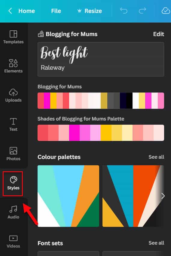 canva style options