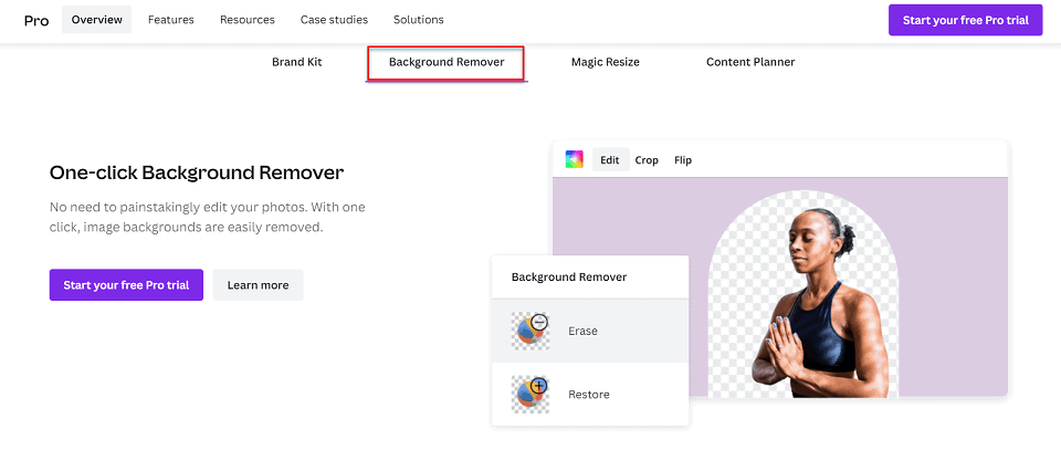 Background Remover Tool in Canva