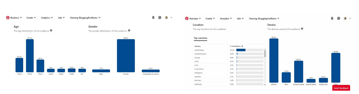 pinterest age and gender analytics