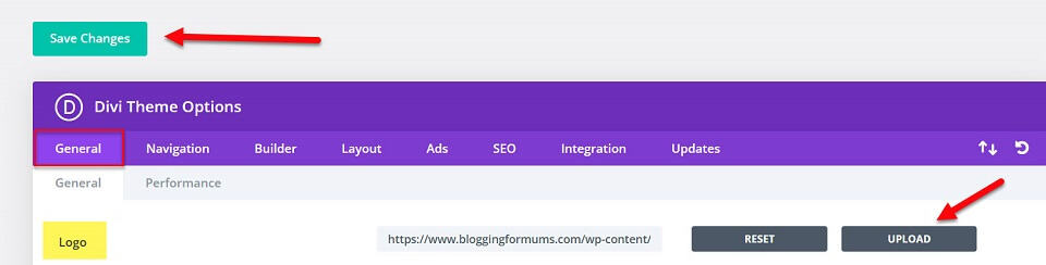 uploading logo into divi theme options