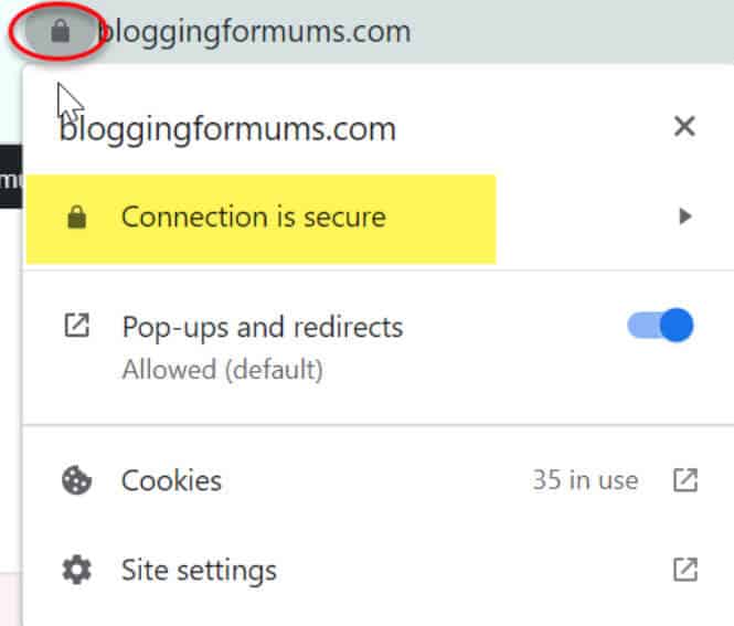 connection is secure for your site when the padlock shows