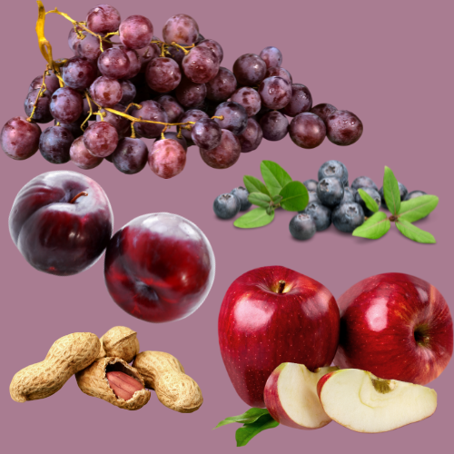 fruits fruits