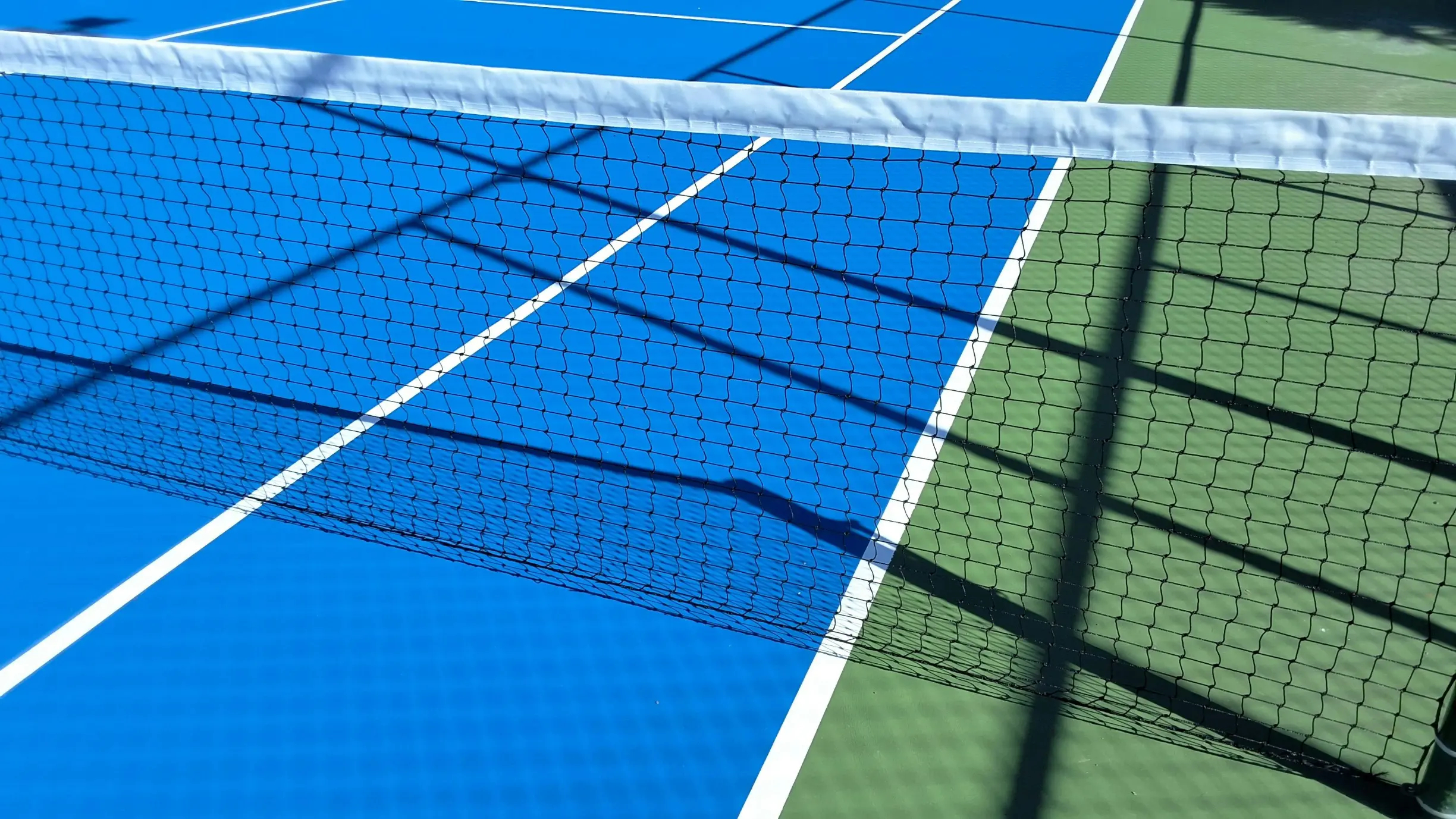 sample image of a pickleball court net