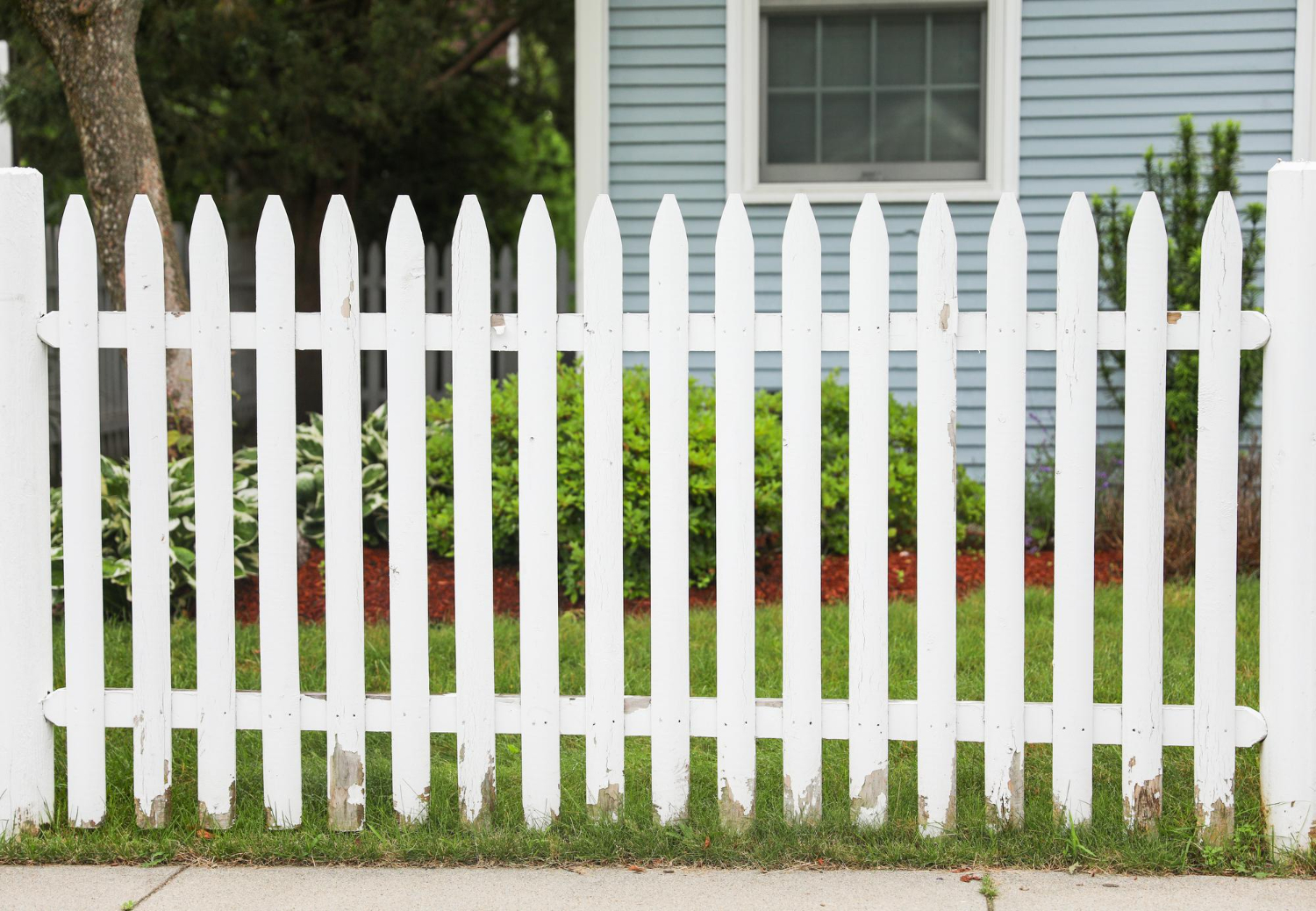 Fences