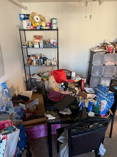 Before Cleaning