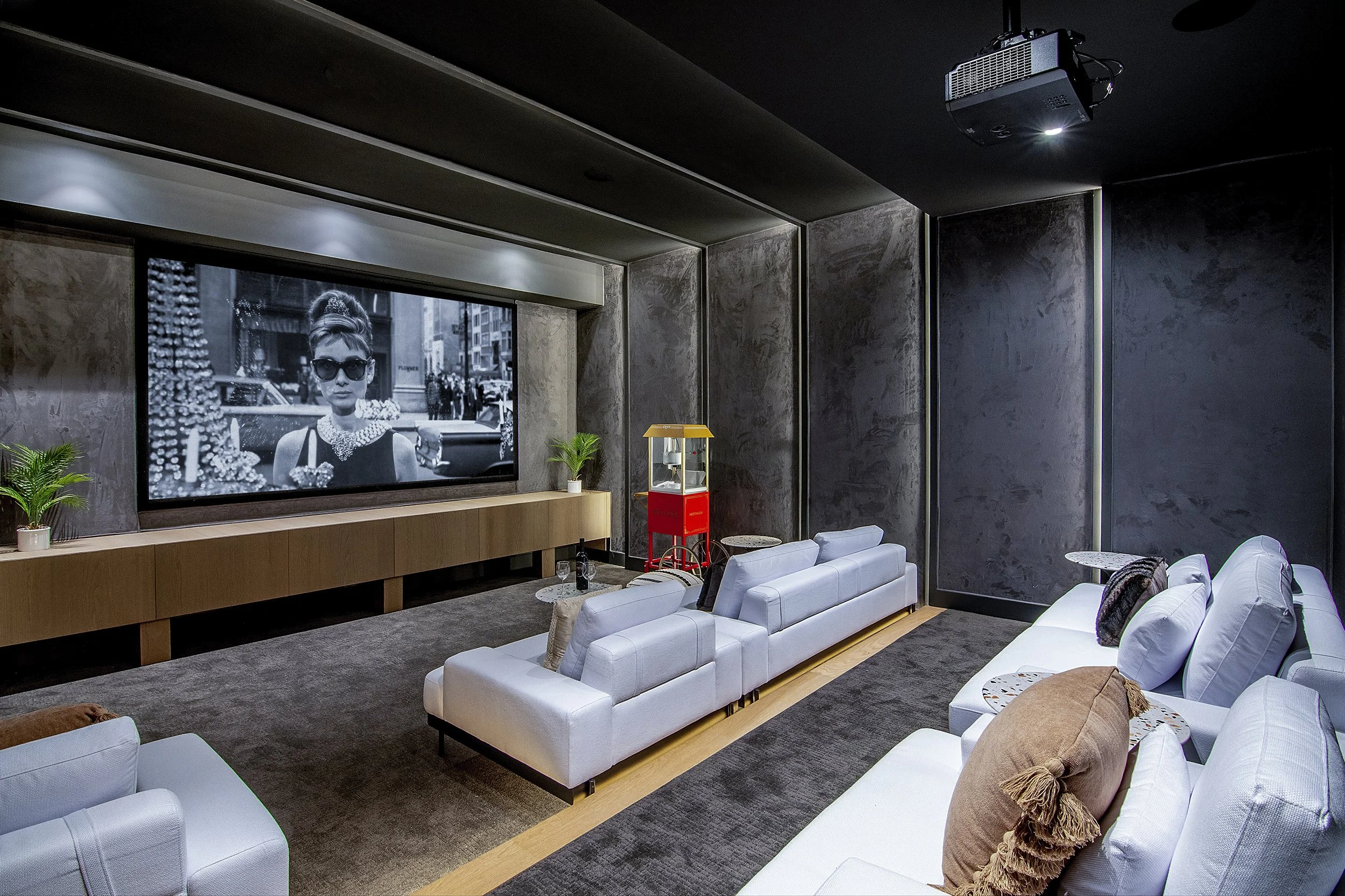 Theater Room Imagined 