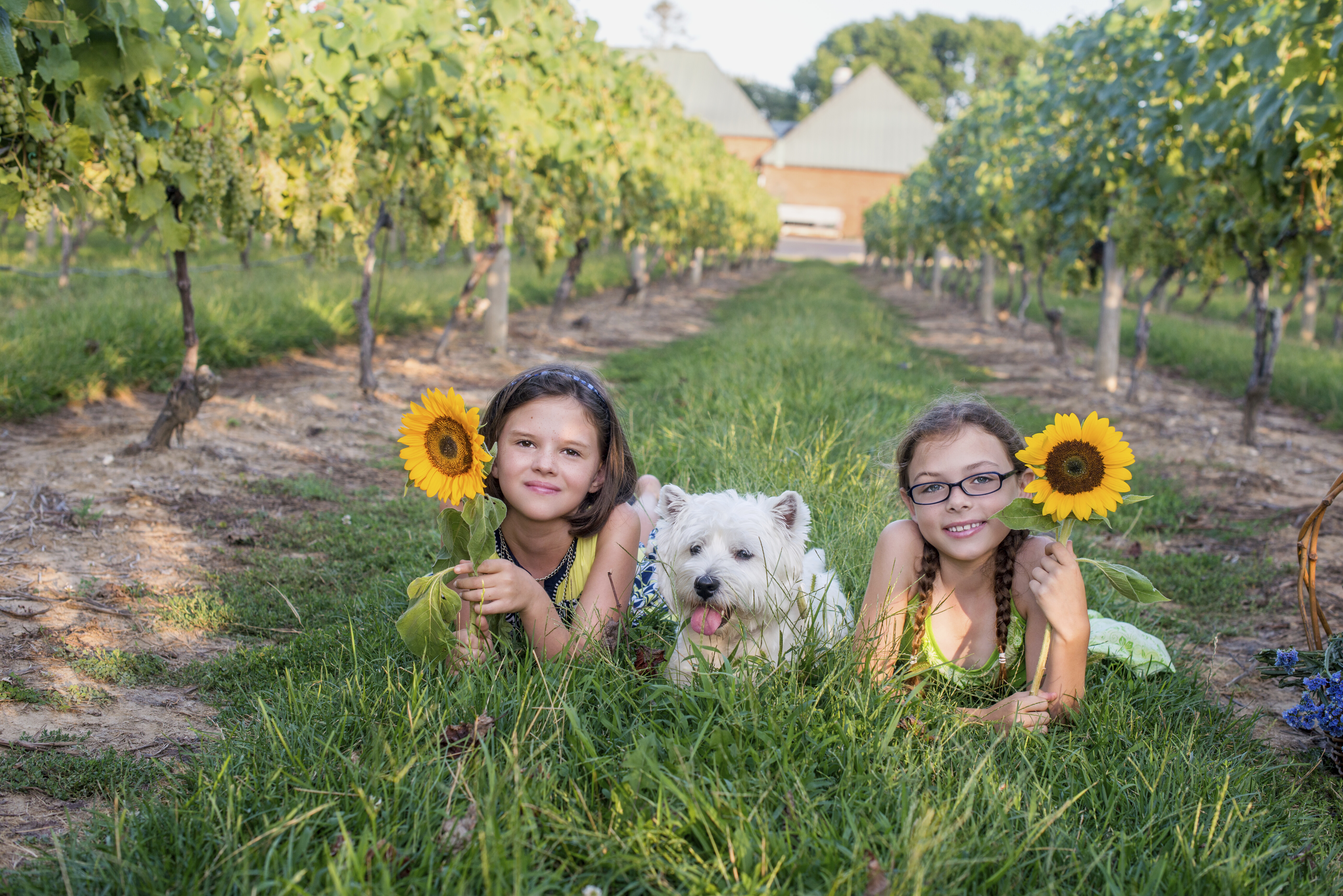 Friends in a vineyard Friends in a vineyard