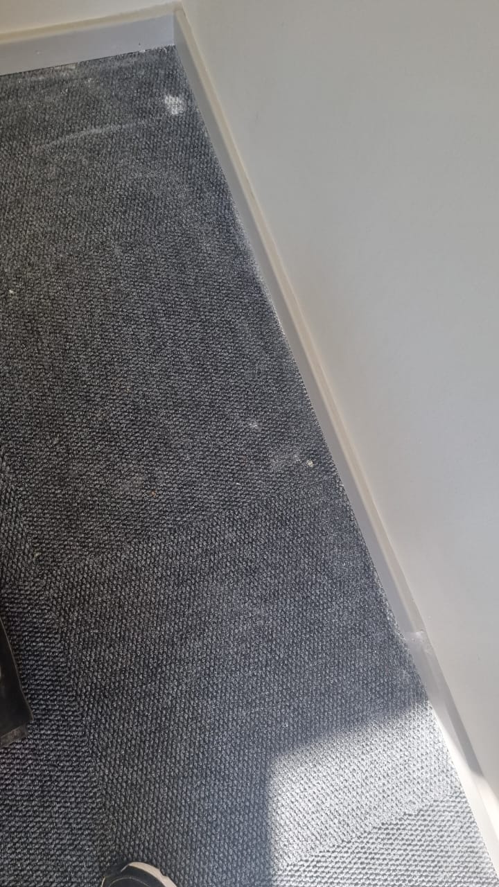 House Cleaning 18