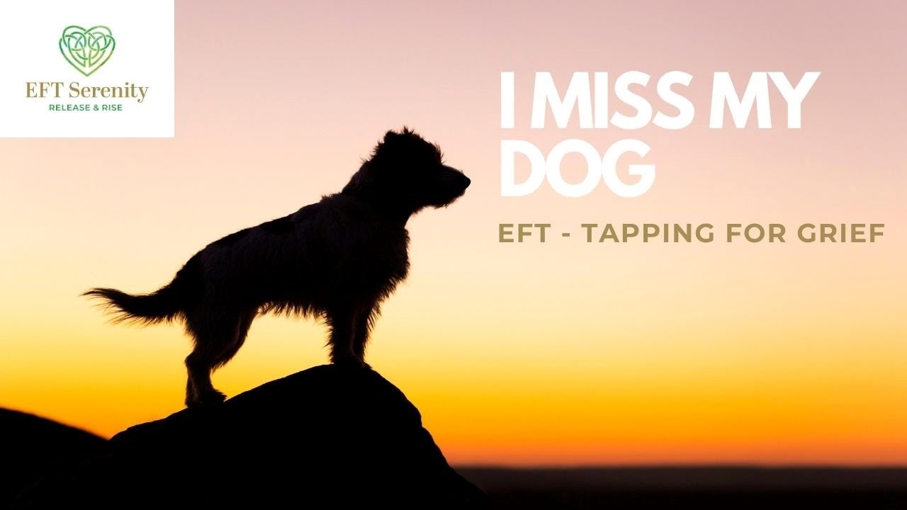 "I Miss My Dog" - When You Are Feeling the Pain of Losing Your Best Friend "I Miss My Dog" - When You Are Feeling the Pain of Losing Your Best Friend