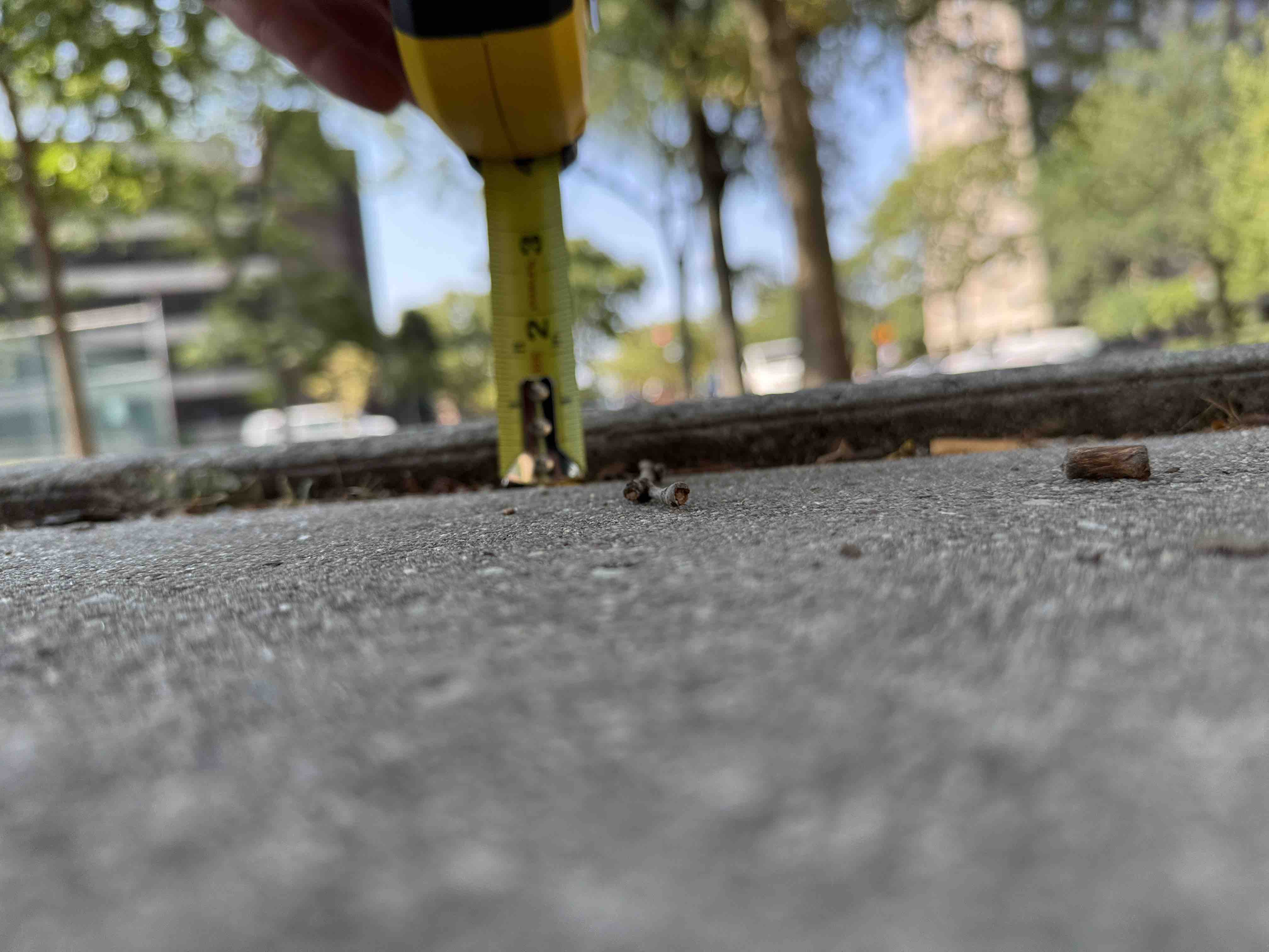 Sidewalk crack