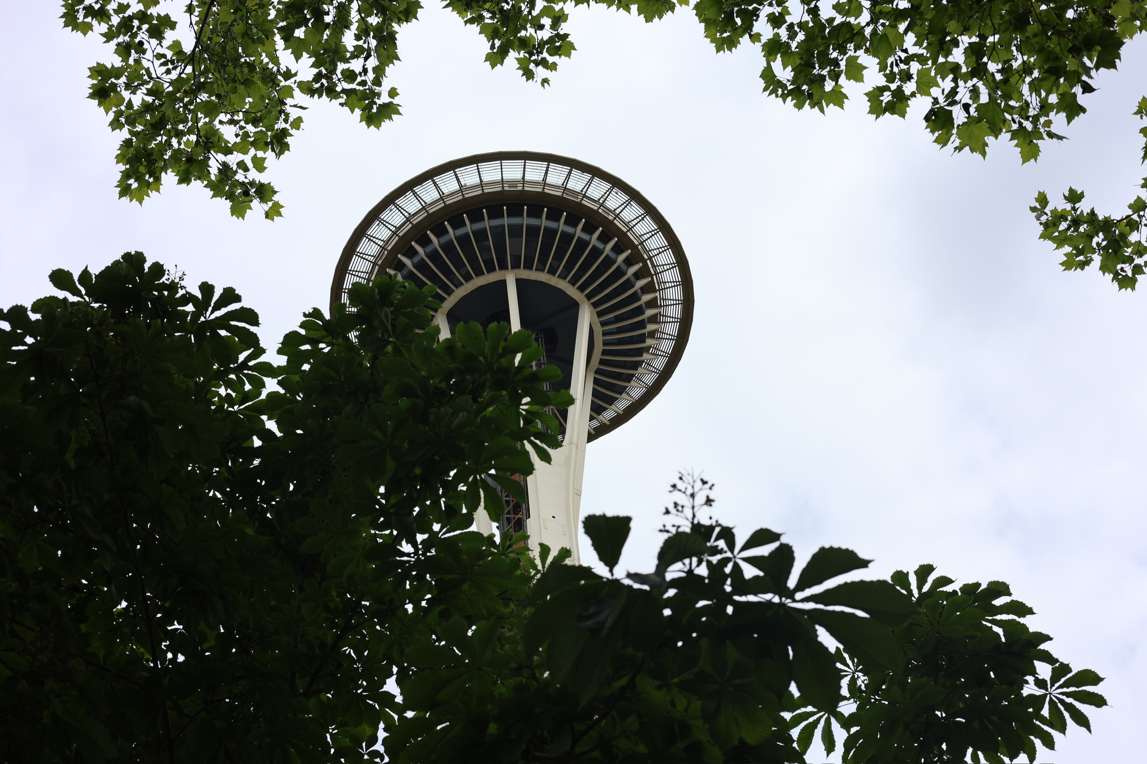 needle