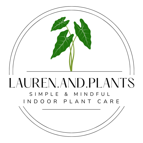 Lauren and plants logo Lauren and plants logo