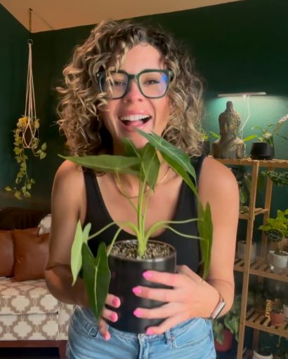 Lauren smiling with alocasia frydek Lauren smiling with alocasia frydek