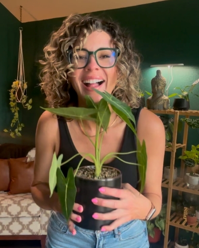 Lauren is the founder of Lauren & Plants, a Fort Worth-based plant enthusiast, designer, and educator. With a home filled with 200 plants and two tiny dogs, she believes that plants have the power to transform spaces and bring joy. From plant styling and maintenance to personal plant shopping and workshops, Lauren helps others cultivate their dream indoor jungles. Follow her journey and plant insights on Instagram @LaurenAndPlants and here on the blog!