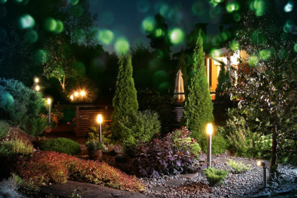 Garden that comes to life under moonlight