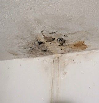 Wall with rising damp Wall with rising damp
