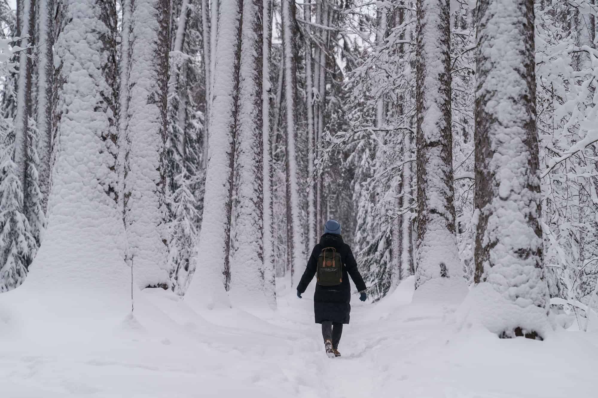 woman walking in snow woman walking in snow