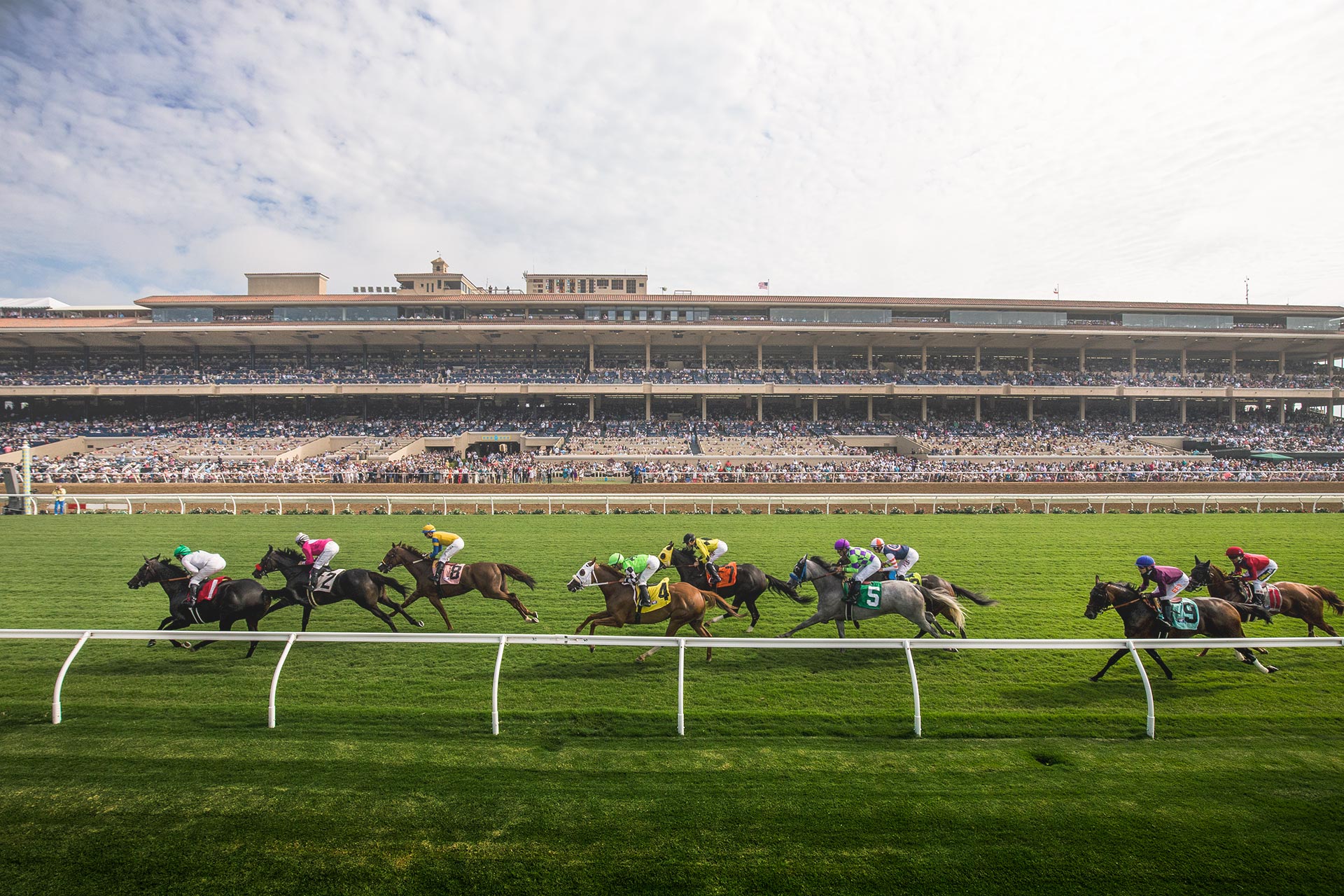 Del Mar Races