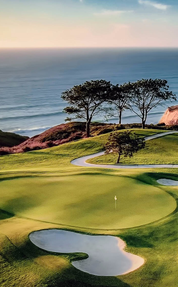 Torrey Pines Golf