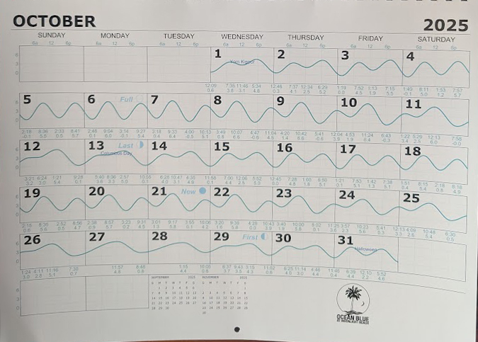 Calendar Tides Moonlight Beach