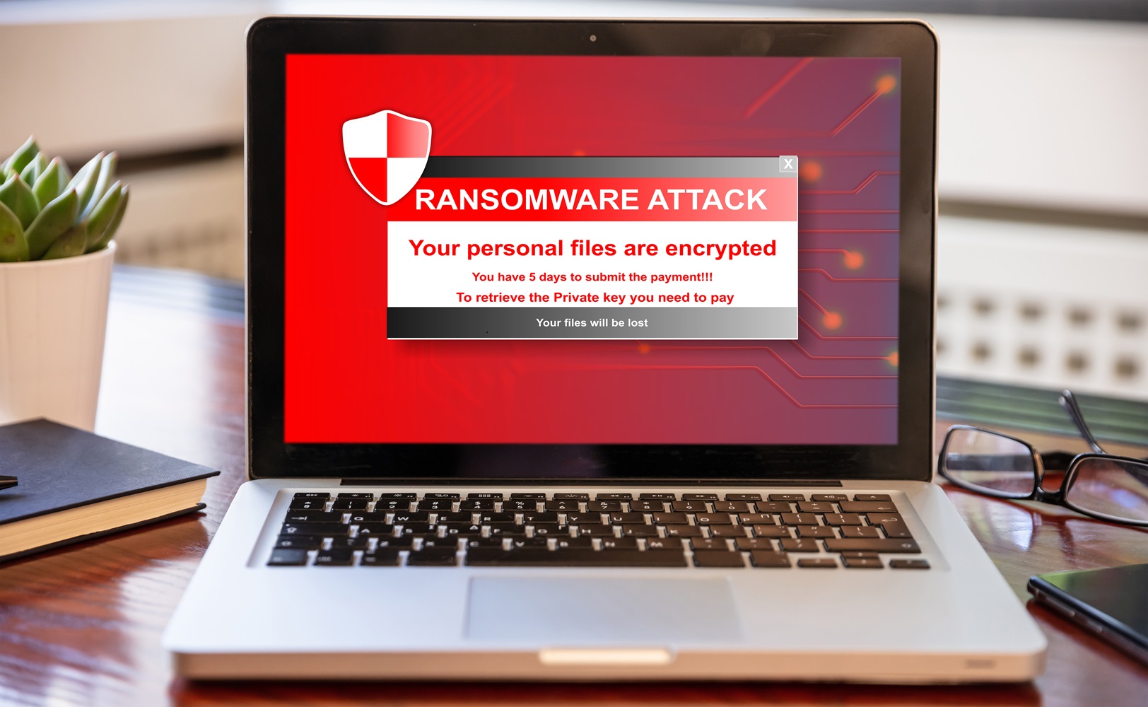 Ransomware Risk