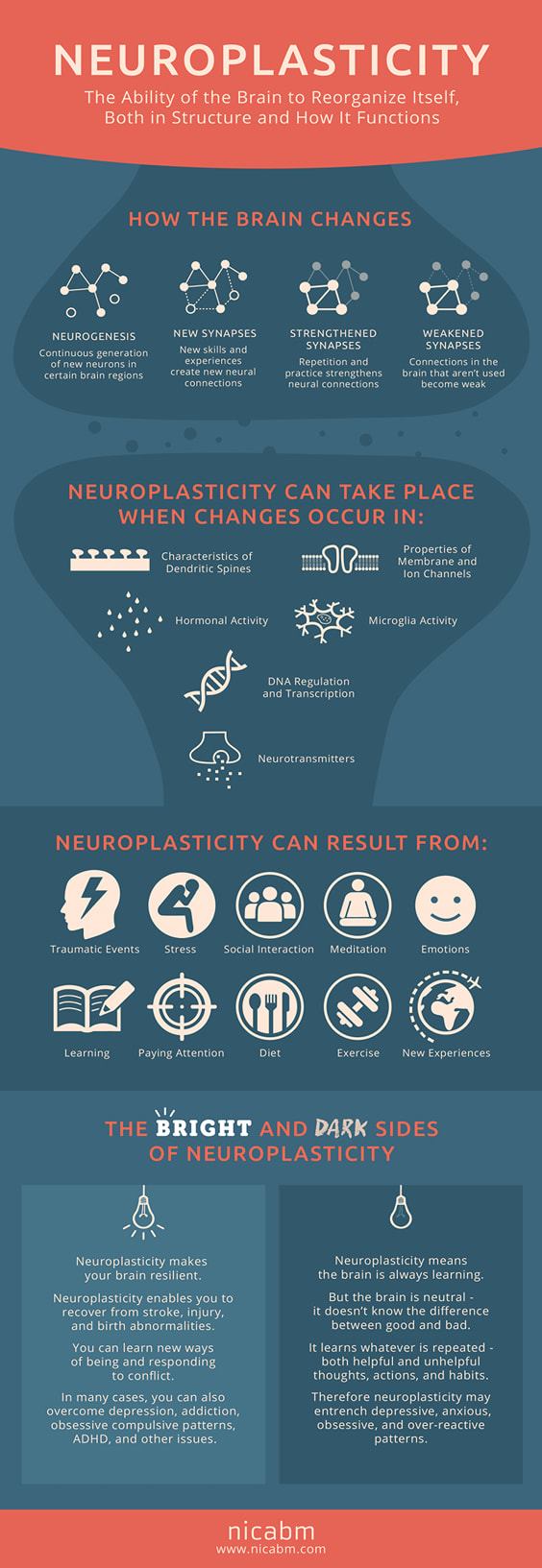 neuroplasticity