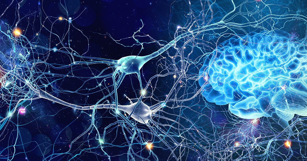 neuroplasticity and harnessing your mind