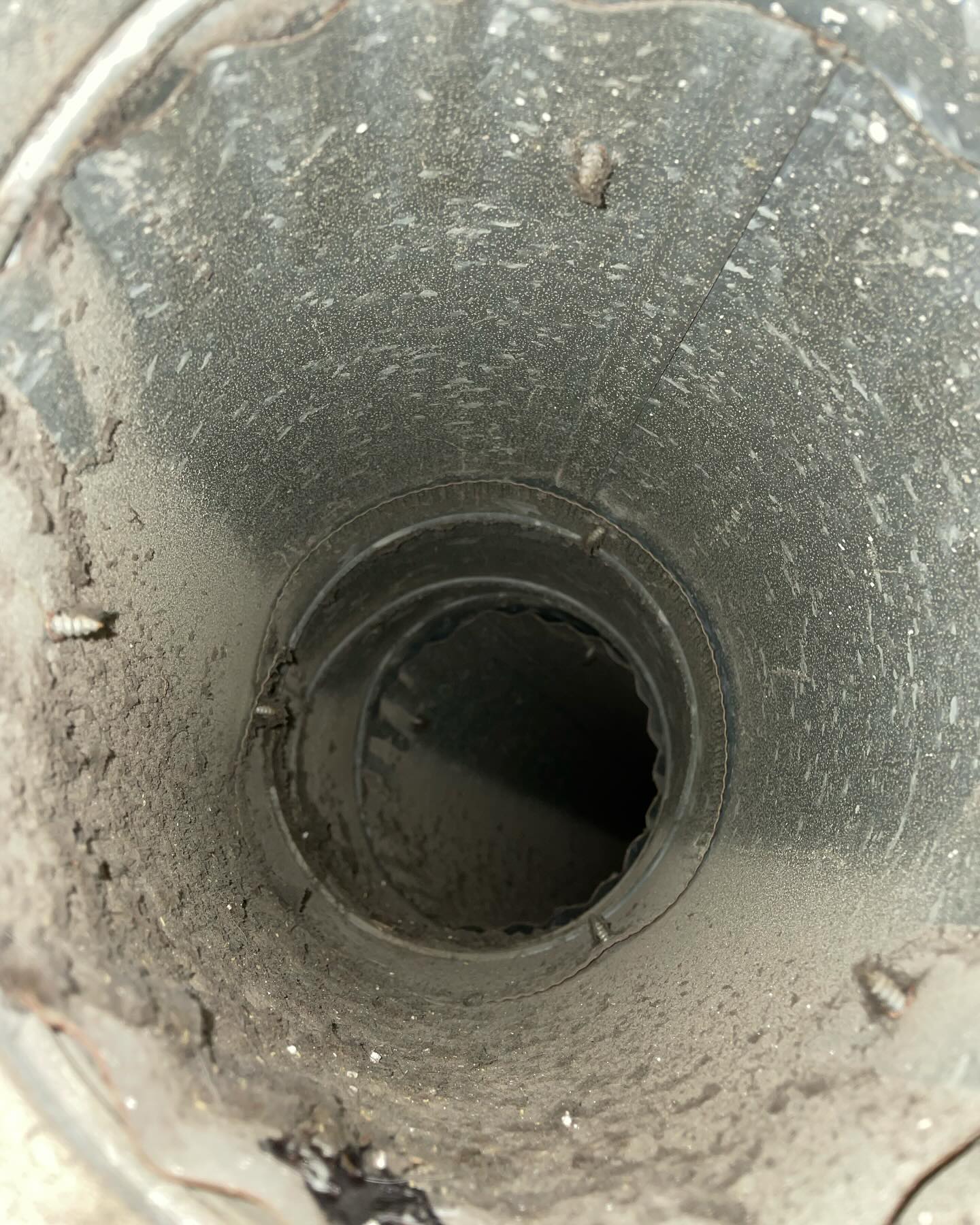 After Cleaning 1