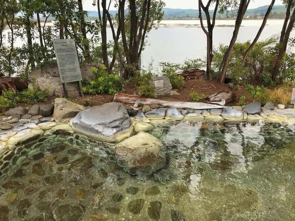 Mineral Pool overlooking a lake