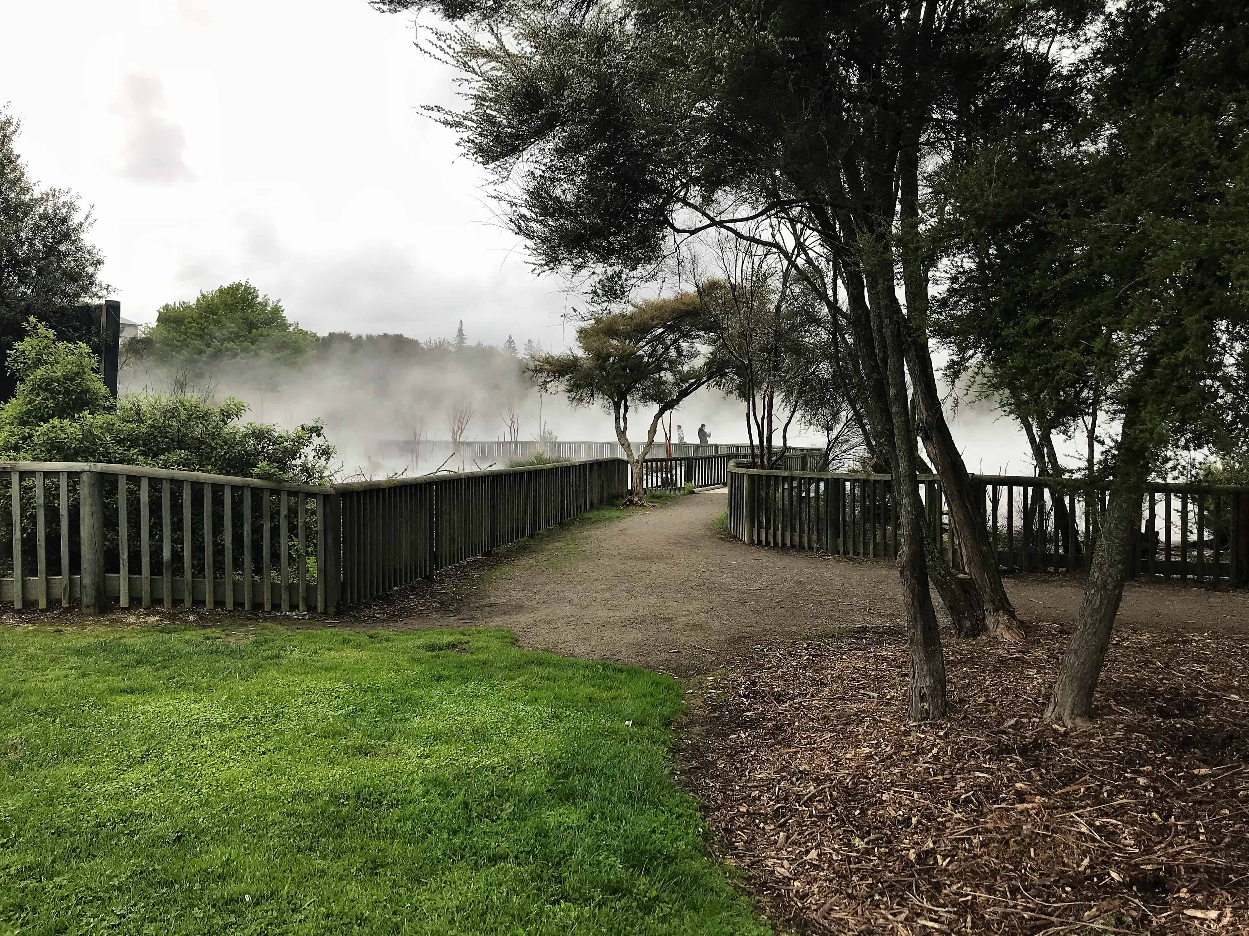 steam coming from the water in Rotorua, New Zealand's Kuirau Park