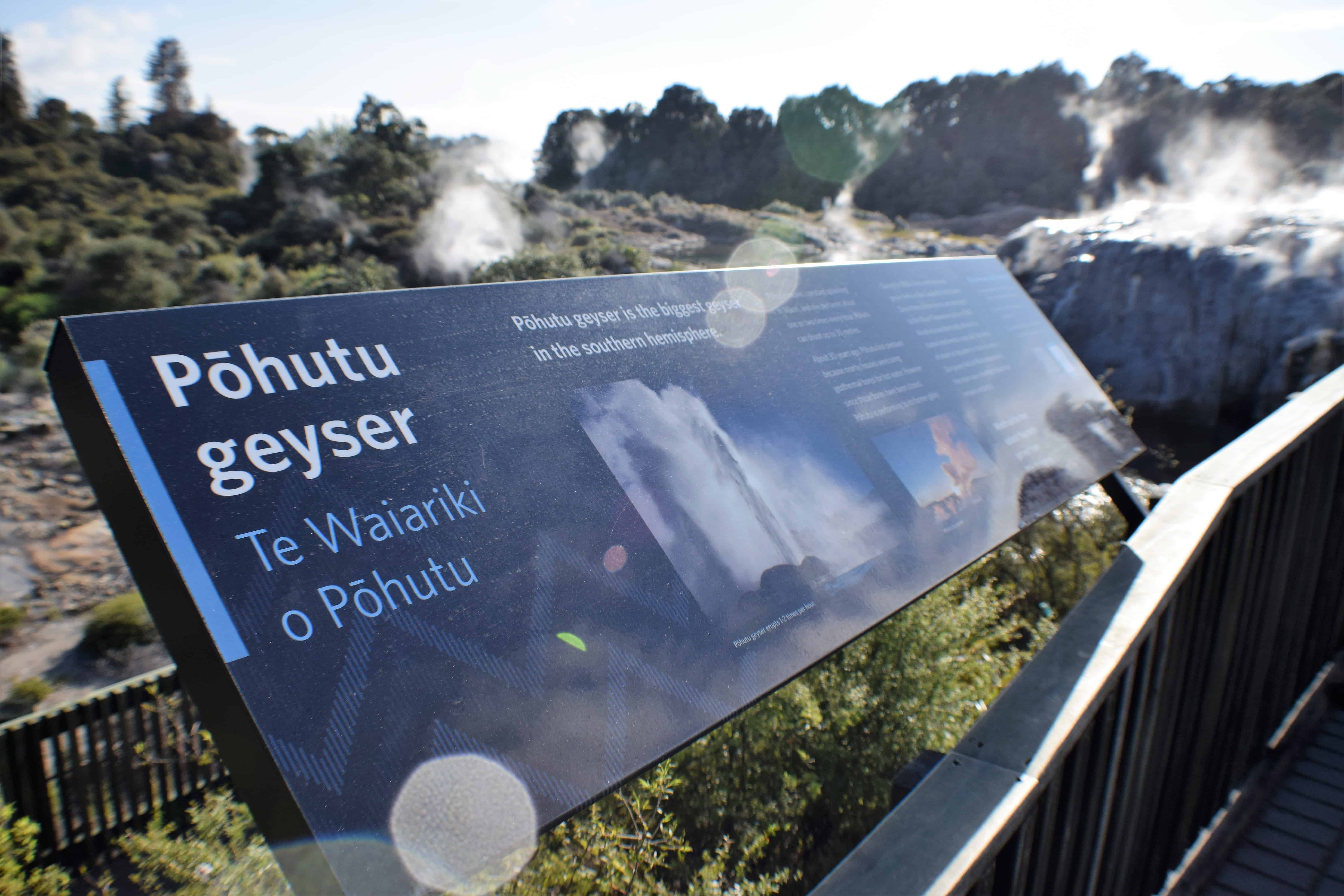 Information board of the Pohutu Geyser