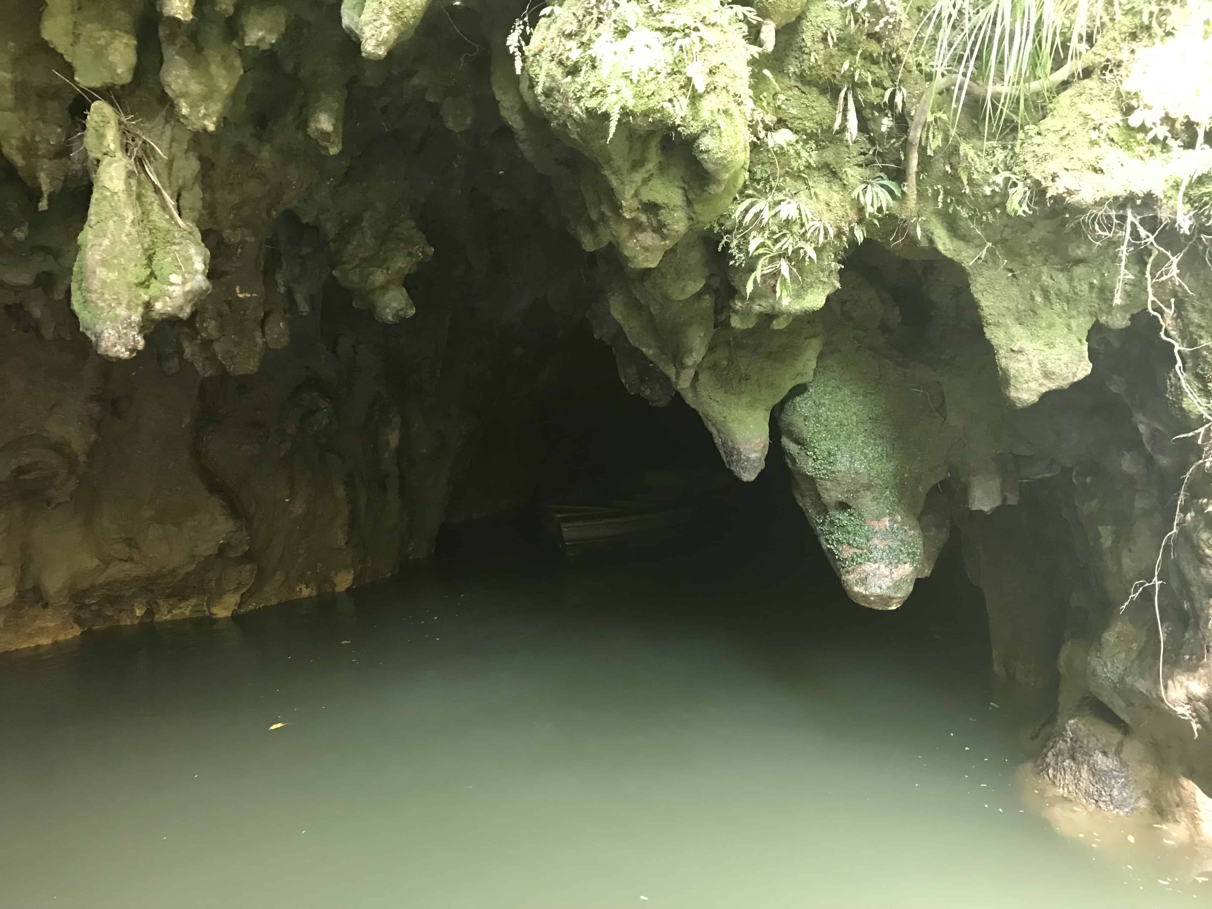 Waitomo Glowworm Caves