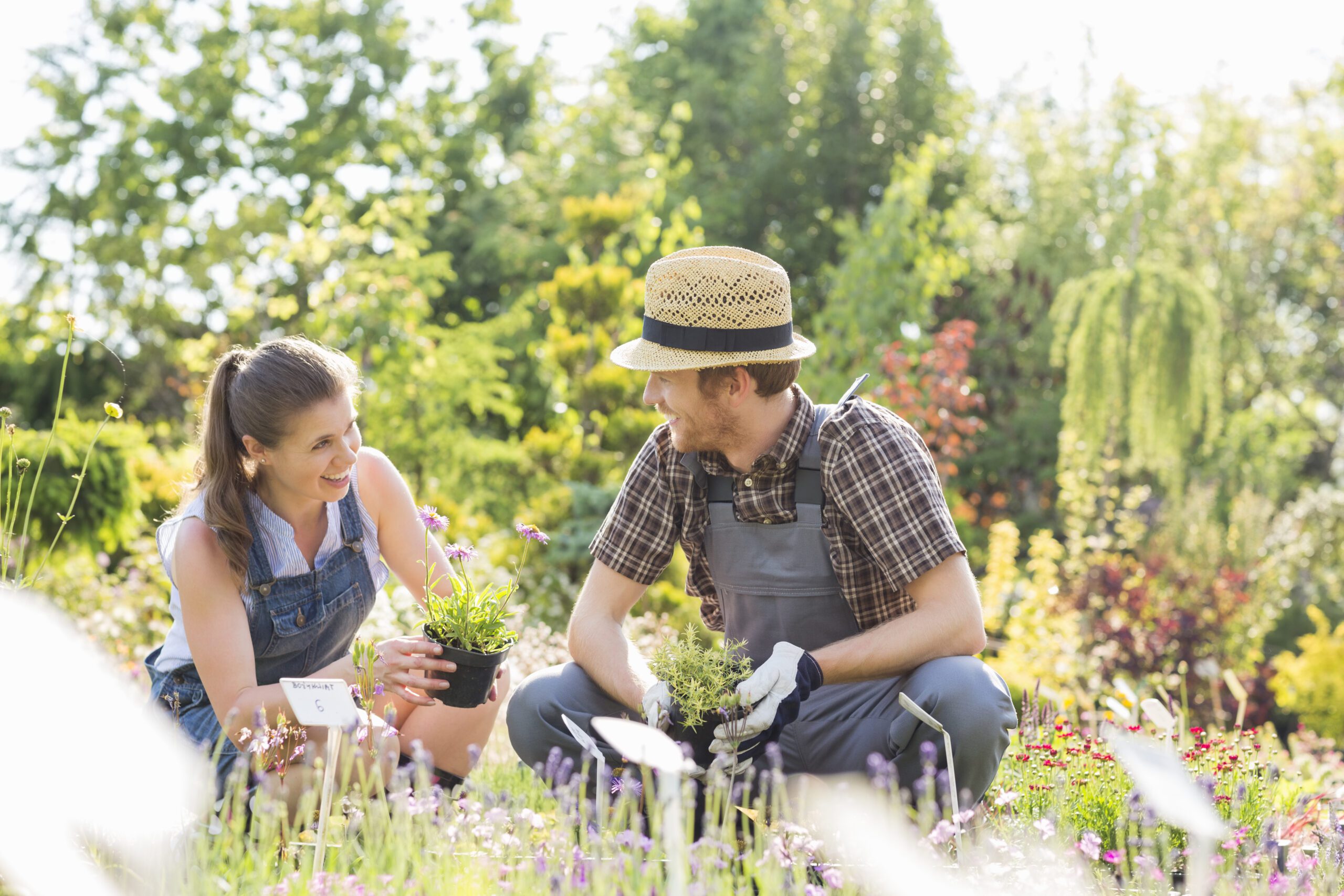 man and woman crouching in a garden while holding plants and smiling