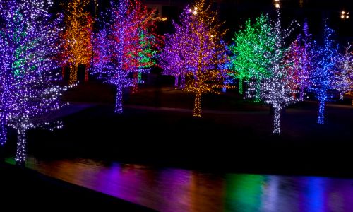 Christmas Activities in Dallas