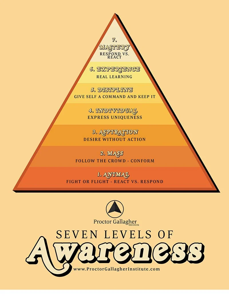 Understanding the Seven Levels of Awareness