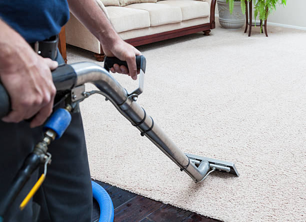 Floor and Carpet Cleaners