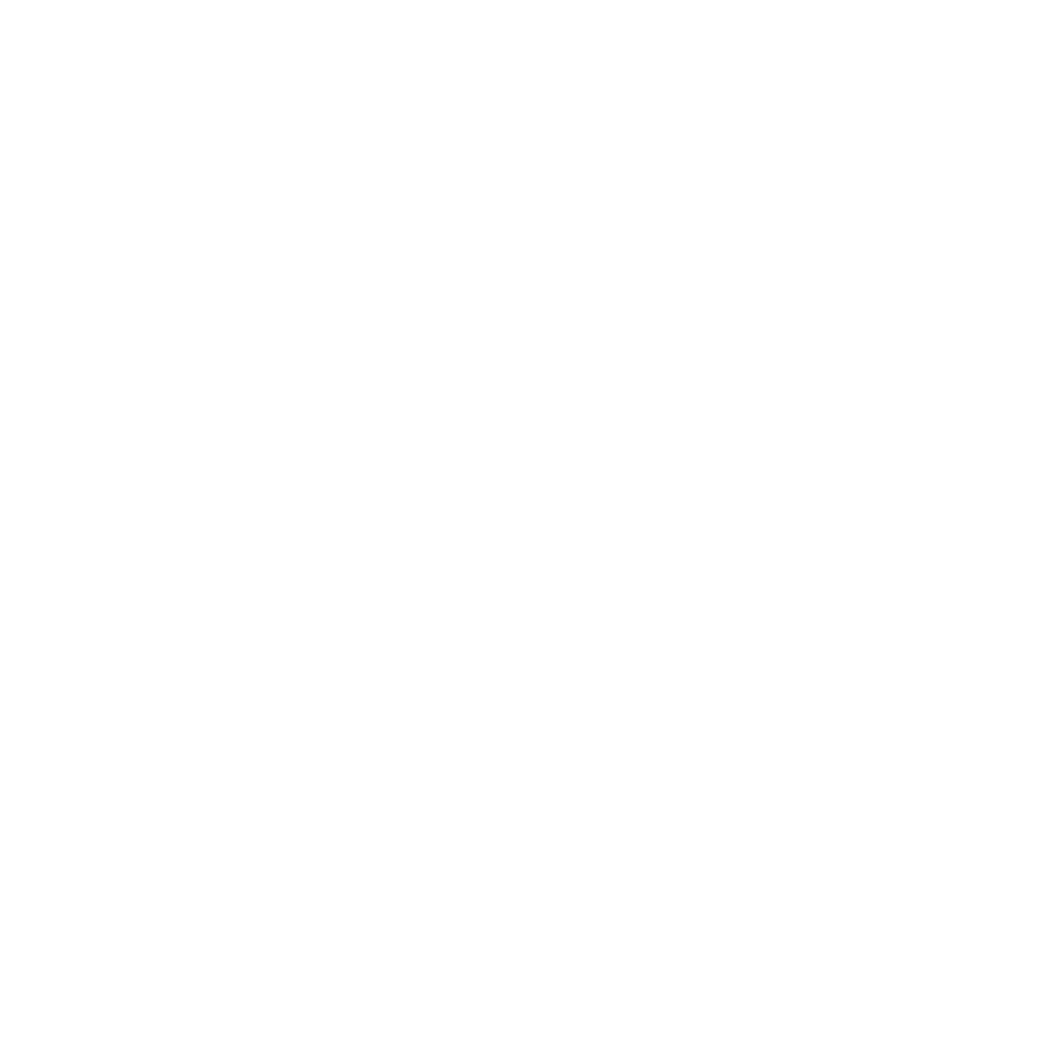 Segway Icon