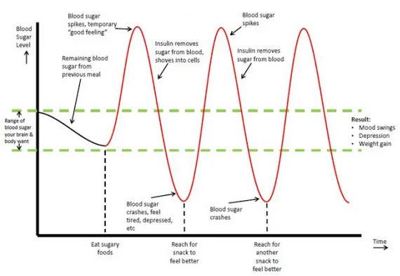 blood sugar homeostasis - (ref - https://studymind.co.uk/notes/blood-glucose-homeostasis/) blood sugar homeostasis - (ref - https://studymind.co.uk/notes/blood-glucose-homeostasis/)