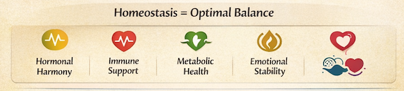 Homeostasis Homeostasis