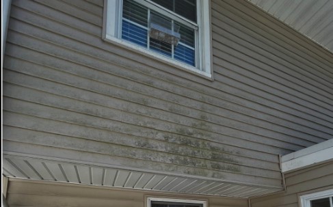 House Wash