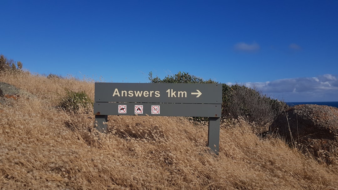answer engine optimization or artificial intelligence engine optimization answer engine optimization or artificial intelligence engine optimization