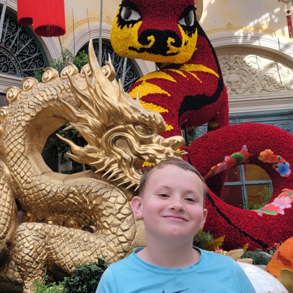 Homeschool at the Bellagio Conservatory Gardens Homeschool at the Bellagio Conservatory Gardens