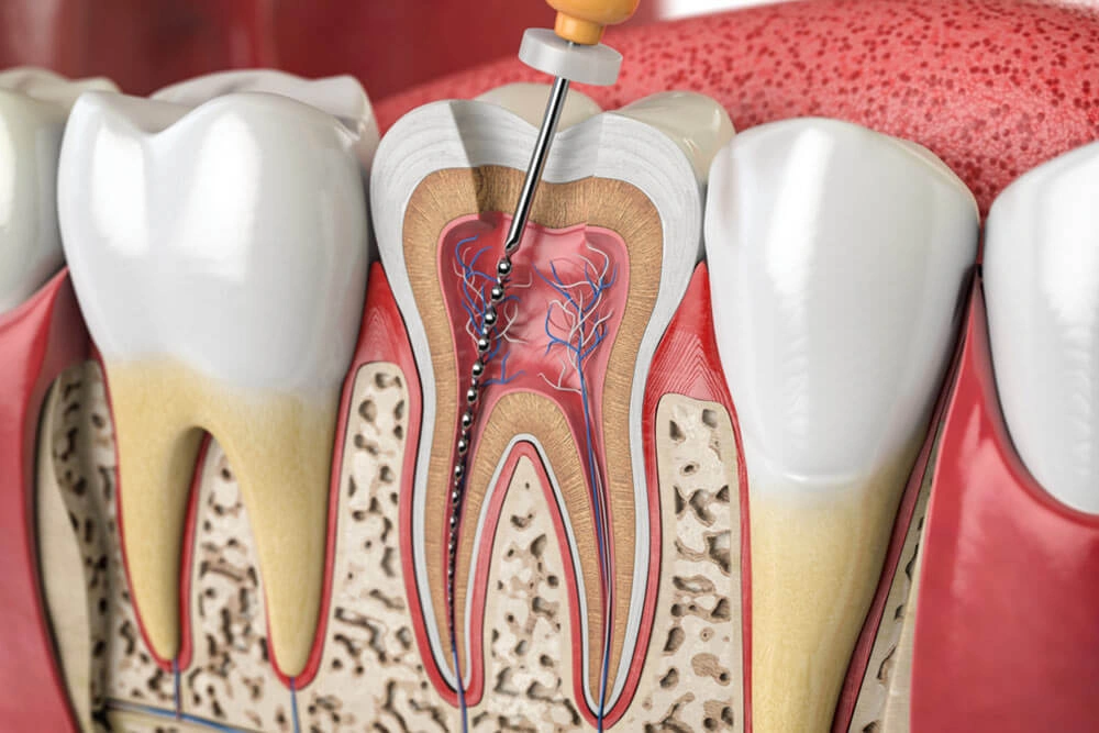 Dental Clinic