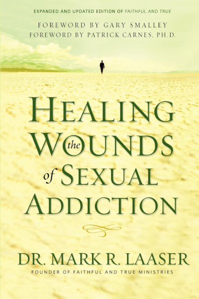 Healing the Wounds of Sexual Addiction book cover Healing the Wounds of Sexual Addiction book cover