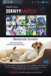 Sleepover Sunday Ad