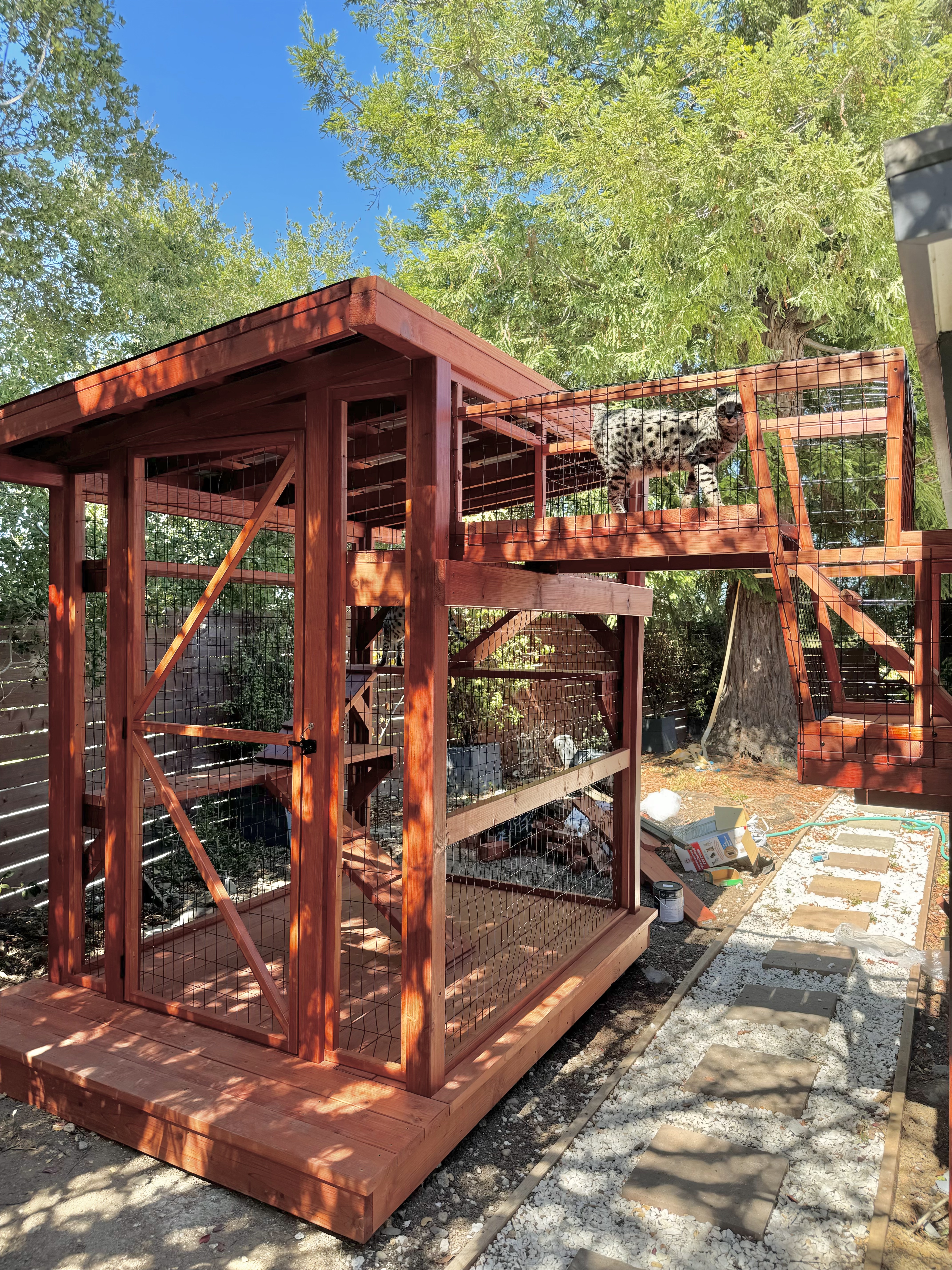 Large wooden catio with multiple levels and mesh walls, surrounded by trees and sunlight, providing a secure outdoor space for cats to explore.
