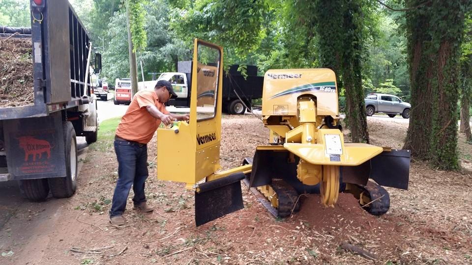 Stump Grinding