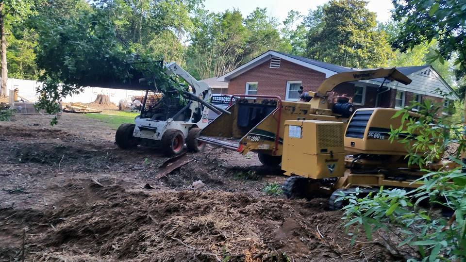 Stump Grinding