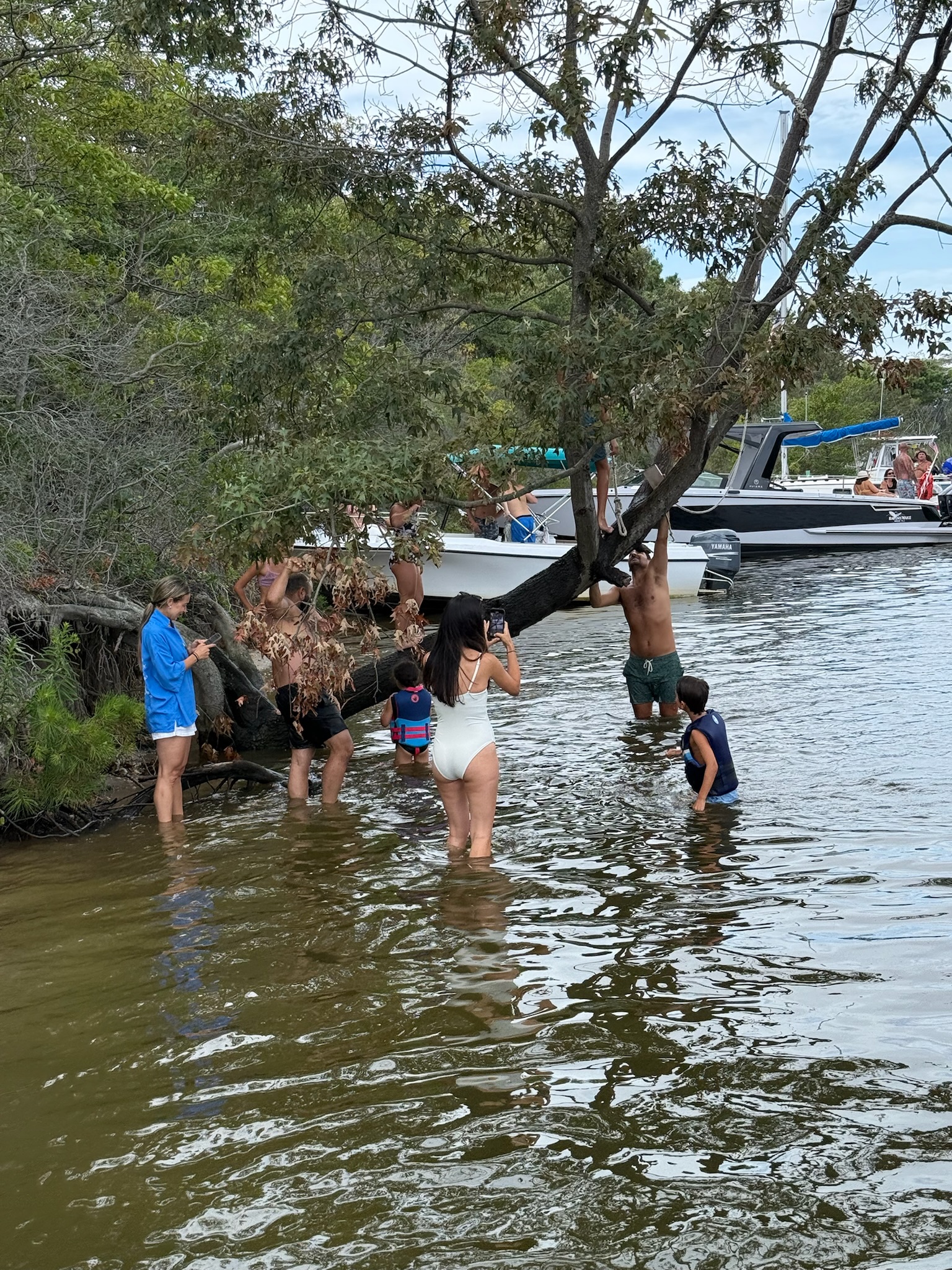 Water Activity 4
