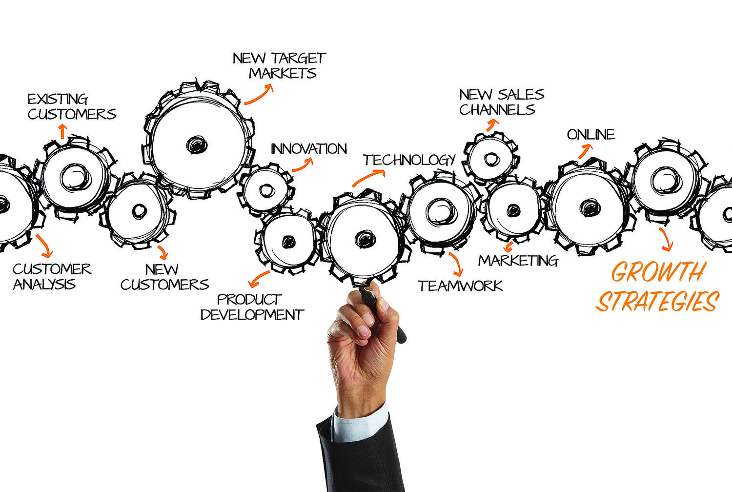 CRO, Sales Leadership, 
